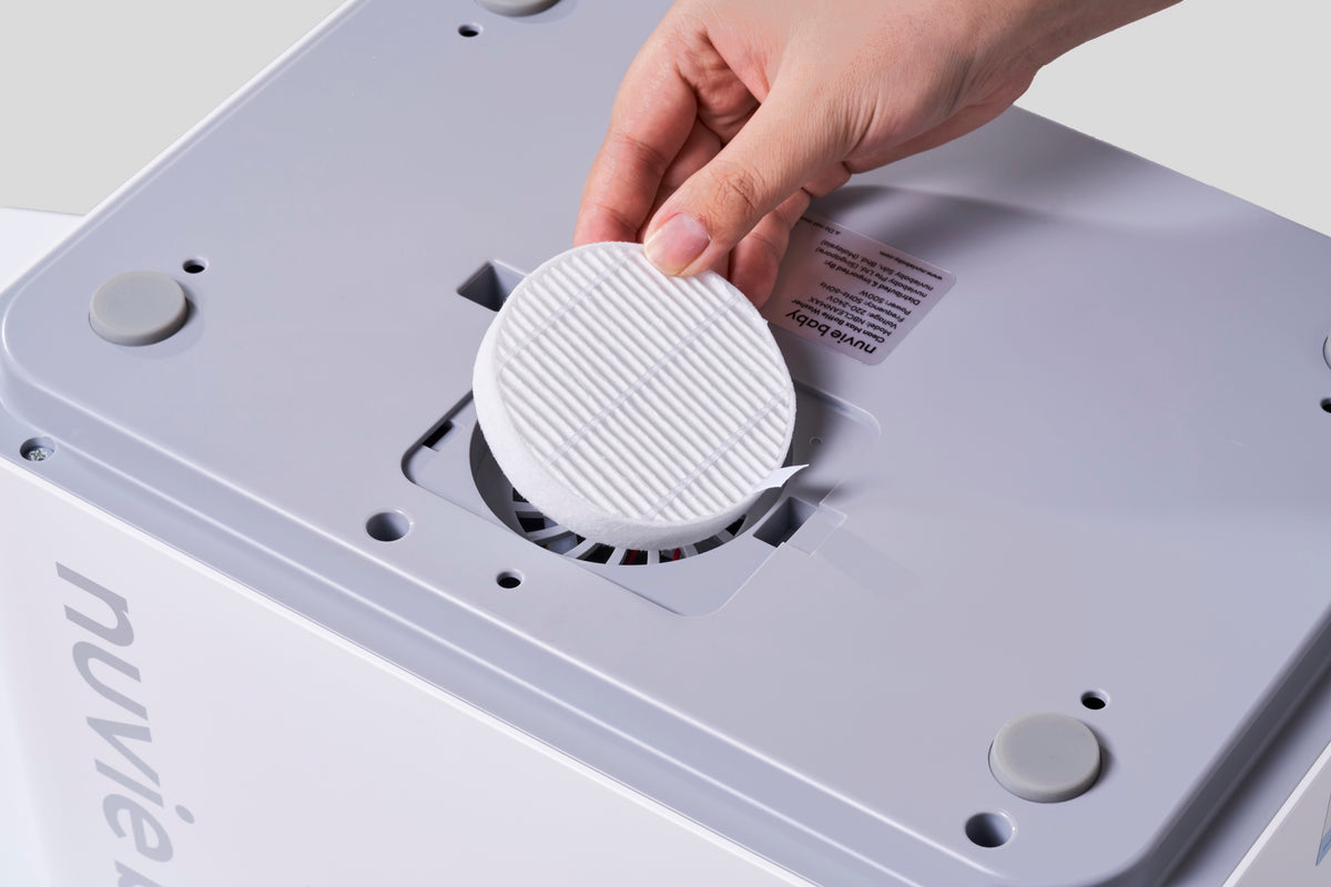 hand lifting the round filter out of the Clean Max housing